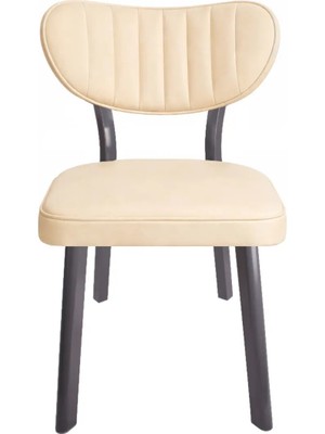 ProBella F Mutfak Sandalyesi Yemek Odası Bahçe Balkon Otel Restoran Kafe Sandalyesi