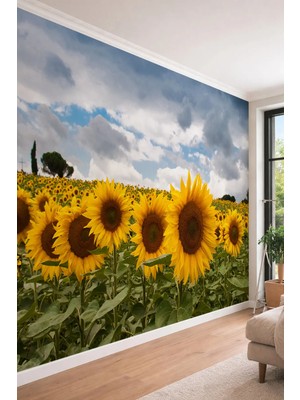 Dreamwall Galaksi ve Renkli Gezegenler - Modern Salon ve Genç Odası Tek Parça Tekstil Duvar Kağıdı