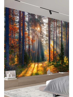 Dreamwall Sonbahar Ormanı Gün Işığı Manzara Tekstil Duvar Kağıdı