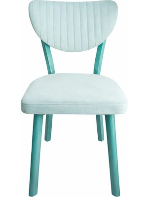 ProBella Elma Mutfak Sandalyesi Yemek Odası Bahçe Balkon Otel Restoran Kafe Sandalyesi