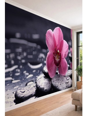 Dreamwall Orkide ve Zen Taşları - Spa ve Güzellik Salonu Tek Parça Tekstil Duvar Kağıdı