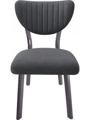 ProBella Elma Mutfak Sandalyesi Yemek Odası Bahçe Balkon Otel Restoran Kafe Sandalyesi