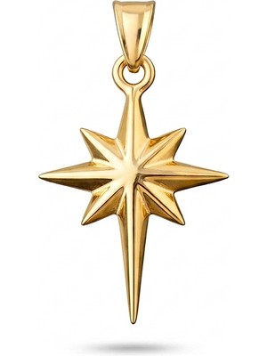Zeya Kuyumculuk 14 Ayar Altın Kutup Yıldızı Kolye Ucu