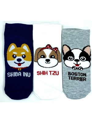 Pileli Store 3 Çift Sevimli Köpek Temalı Baskılı Yumuşak Kadın Bilek Çorap