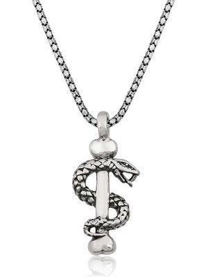 Pileli Store 925 Ayar Gümüş Yılan Erkek Gümüş Kolye T4365 (72)