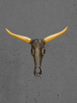 Dekoratif Ahşap Boynuzlu  Buffalo Kafa Albızıa Wood