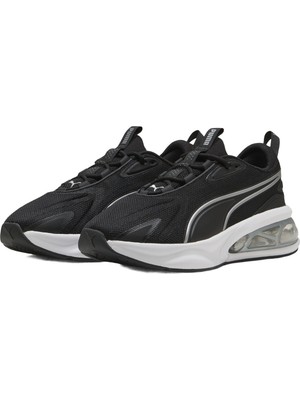 Puma Solar Wns