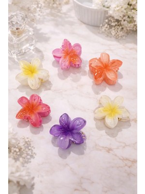 Nati Co Renk Geçişli Şeffaf Lotus Çiçeği Toka – Zarif Günlük Saç Aksesuarı (3 Cm)