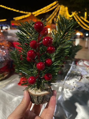 No Name Doğal Ahşap Tabanlı Mini Yılbaşı Dekoru – Kırmızı Meyveli Çam Masa Süsü