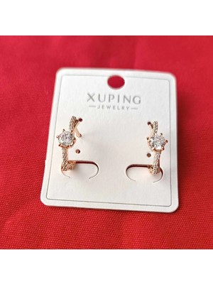 Çelik 1.sınıf  Xupıng Taşlı Küpe