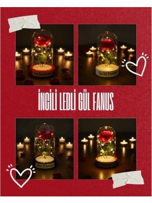 EkoAlışverişDünyam Incili Ledli Gül Fanus