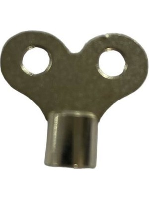 TeknoKapsül Petek Purjör Anahtarı