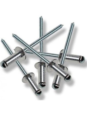 TeknoKapsül Perçin Pop 4X10 mm (10 Adet)