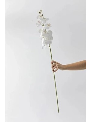 Defne Decor Yapay Islak Orkide Çiçeği Lüx Beyaz Tek Dal 100 cm