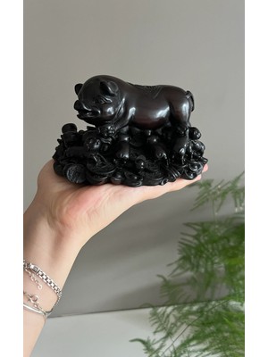 Miamantra Feng Shui Para Kesesi Taşıyan Şans Domuzcuğu ve Bebekleri Biblosu - (14 cm)