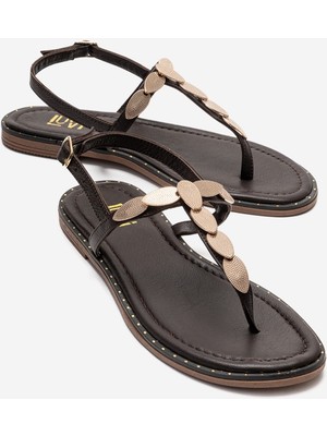 Luvi Marea Kahverengi Hakiki Deri Parmak Arası Gold Tokalı Kadın Sandalet