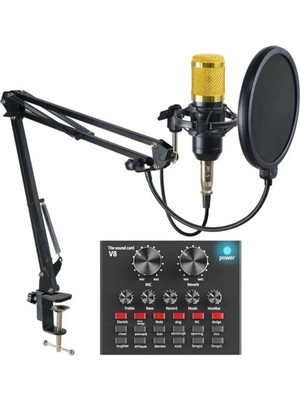 Profesyonel Stüdyo V8 Ses Kartı Youtuber Influencer Filtreli Kayıt Mikrofonu Masa Bağlantıl Mikrofon