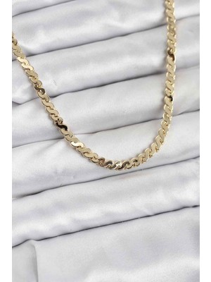 Pirinç Gold Renk Yassı Zincir Kadın Kolye Midastech