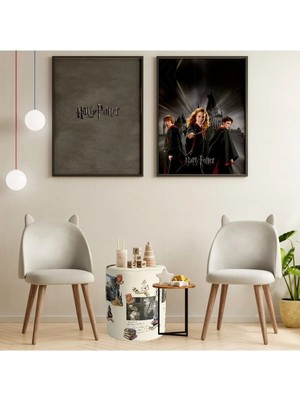 Adawall Home Harry Potter Team Picture Puf