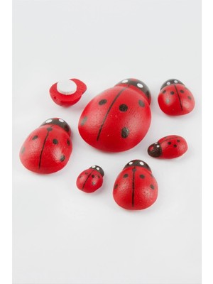 MidasTech Uğur Böceği Set 6 Adet Nemere