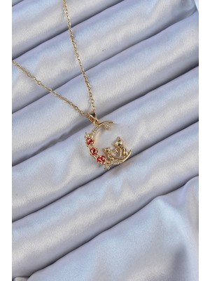 Bazarhane 316L Çelik Zincir Altın Renk Kırmızı Gül Detay Kedi Figür Zirkon Taşlı Ay Kolye