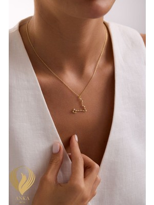 Anka Collection Constellation Serisi Balık Takımyıldızı Minimal Tasarım 925 Ayar Gümüş Kolye
