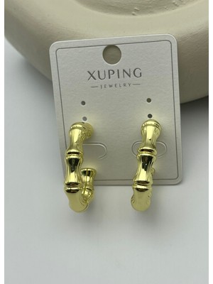 Biju Yılmaz Xuping Gold Kalın Halka Küpe - 25XPKP361