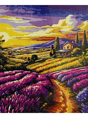 Elegantshop 5d Yapışan Boncuk Mozaik Tablo 40*50 cm XQC87357