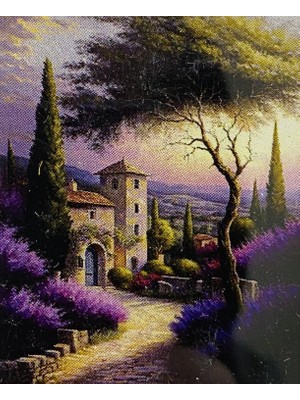 Elegantshop 5d Yapışan Boncuk Mozaik Tablo 40*50 cm XQC87285