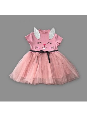 DMR Elegance 1-2-3 Yaş Payetli Kulak Tavşan Baskılı Kız Bebek Elbisesi Gül Kurusu