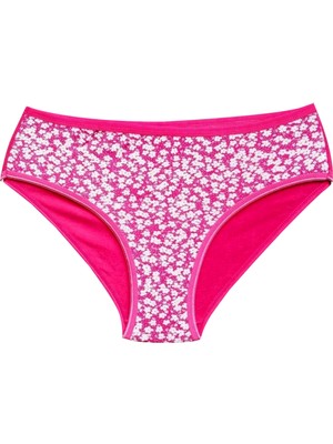 Aesco Pamuklu Geniş Kenarlı Likralı Desenli Bato Kadın Külot Desen 7