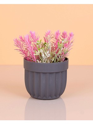 Aesco Çizgili Saksı Dikenli Çiçek ROYALEKS-5781