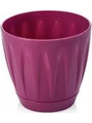 Aesco Papatya Saksı 12 Litre ROYALEKS-P005