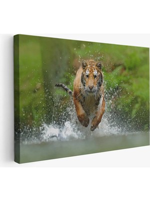 Beta Moda Hub Koşan Kaplan Dekoratif Kanvas Tablo