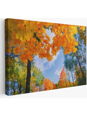 Beta Moda Hub Sarı Yapraklı Sonbahar Manzarası Duvar Tablosu-