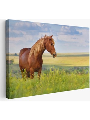 Beta Moda Hub At ve Manzaralı Dekoratif Kanvas Tablo