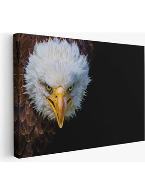 Beta Moda Hub Kartal Dekoratif Kanvas Tablo