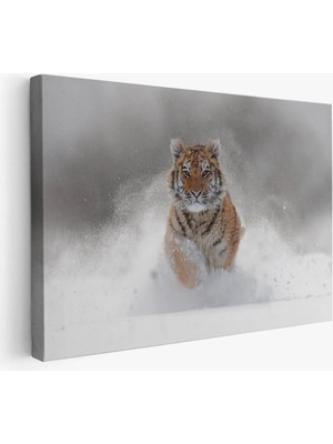 Beta Moda Hub Karda Koşan Yavru Kaplan Dekoratif Kanvas Tablo