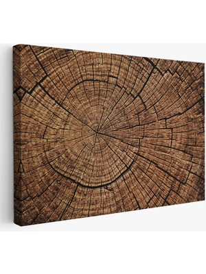 Beta Moda Hub Ağaç Kütük Desenli Kanvas Tablo-