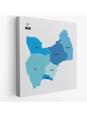 Beta Moda Hub Muş Ili ve Ilçeler Haritası Dekoratif Kanvas Tablo