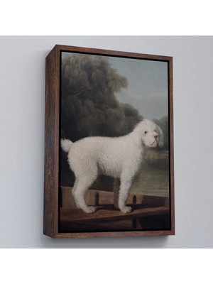 Beta Moda Hub Ahşap Çerçeveli George Stubbs Beyaz Kaniş Tablo-