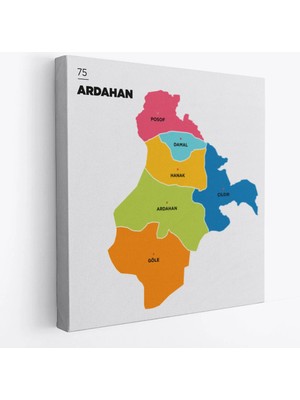 Beta Moda Hub Ardahan Ili ve Ilçeler Haritası Dekoratif Kanvas Tablo