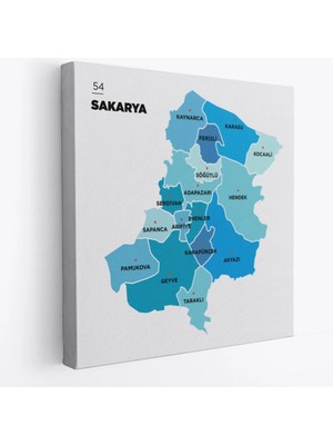 Beta Moda Hub Sakarya Ili ve Ilçeler Haritası Dekoratif Kanvas Tablo