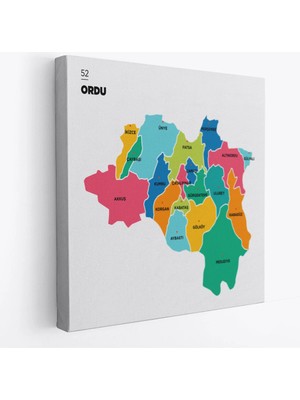 Beta Moda Hub Ordu Ili ve Ilçeler Haritası Dekoratif Kanvas Tablo