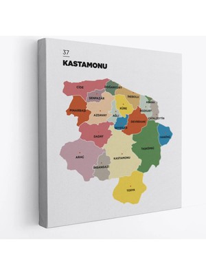 Beta Moda Hub Kastamonu Ili ve Ilçeler Haritası Dekoratif Kanvas Tablo