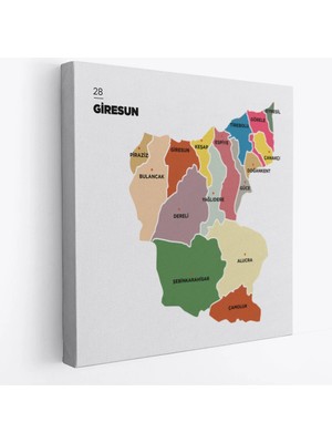 Beta Moda Hub Giresun Ili ve Ilçeler Haritası Dekoratif Kanvas Tablo