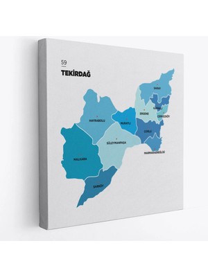 Beta Moda Hub Tekirdağ Ili ve Ilçeler Haritası Dekoratif Kanvas Tablo