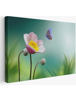 Beta Moda Hub Zarif Çiçek ve Kelebek Dekoratif Kanvas Duvar Tablosu-