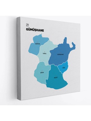 Beta Moda Hub Gumüşhane Ili ve Ilçeler Haritası Dekoratif Kanvas Tablo