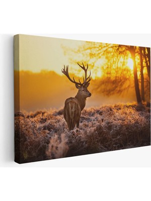 Beta Moda Hub Geyik Gün Batımı Dekoratif Kanvas Tablo
